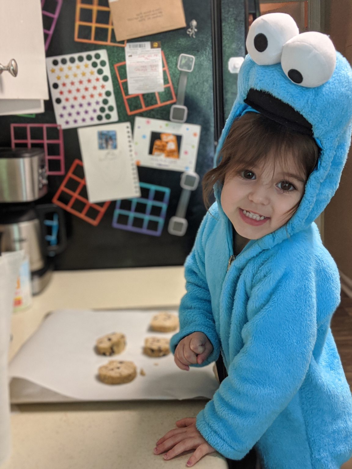 Toddler in a Cookie Monster costume.